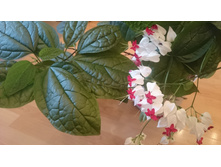 ������������ �������� ������� ��������