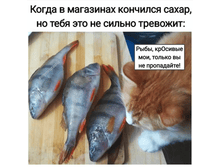 ������ ��������� �������� �����, �� ��� ���� �� ������ �������� - ����, �������� ���, ������ �� �� ����������!