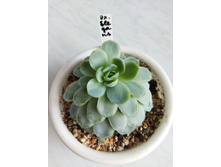 IMG 20220328 122042.jpg