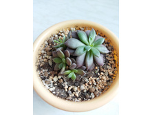 IMG 20220328 123608.jpg