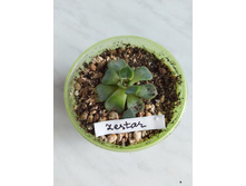 IMG 20220328 123205.jpg