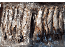 ����� ����. ����� �������.PNG