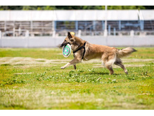 11147877 942994152389618 1815221710536375673 o.jpg