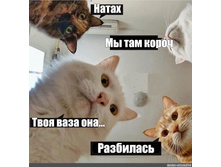 257412265-mem kiskin.jpg