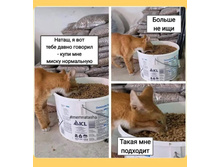 �����, ����� ������ �� ���. ��� ����� ��������.