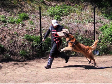 186888980 1929497857190899 7613036050189774483 n.jpg