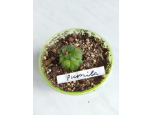 IMG 20220328 123346.jpg