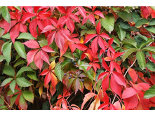 �������� ������� ���������������2.jpg