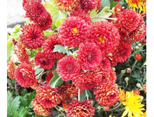 ���������� ��������� �����.jpg