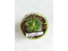 IMG 20220328 123428.jpg