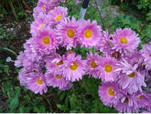 ���������� ��������� ������ �����������.jpg