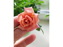 IMG 20190831 161440.jpg