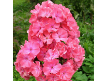 ����� ����������� ���������� ������.jpg