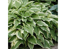 �������� +22�(No2)