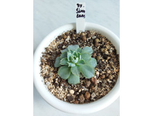 IMG 20220328 122800.jpg