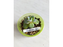 IMG 20220328 123224.jpg