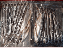 ����� ����. ������.PNG