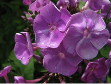 ����� ����������� ������ ���������1.jpg