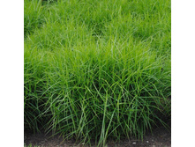 ����� �������������.jpg