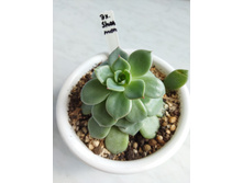 IMG 20220328 122842.jpg