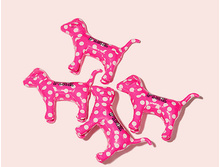 ������ PINK ������� 950 ���.