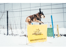 265259151 2089698721170811 8925178795537516976 n.jpg