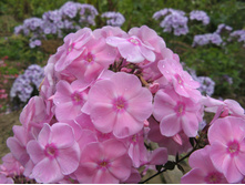 ����� ����������� ����.jpg