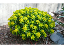 ������� ��������������.jpg