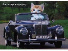 �ӣ, ��У��� � �� ����