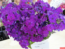 ����� ����������� �����.jpg