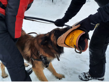 271946458 670783984284343 8874323481140198097 n.jpg