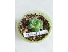 IMG 20220328 123139.jpg