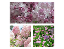 ��������� ������.jpg