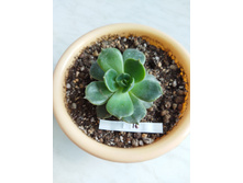 IMG 20220328 124026.jpg