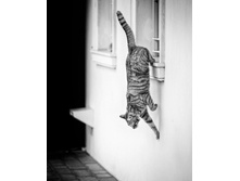 � ��� �� ������?