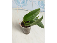 IMG 20220328 124346.jpg