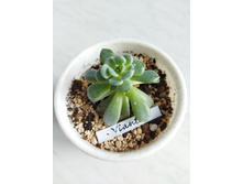 IMG 20220328 123026.jpg