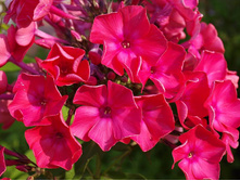 ����� ����������� ����� ��������.jpg