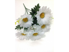 56.00 ���./��. 2180 ����� ������� �����,