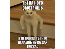 257413735-i.jpeg