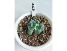 IMG 20220328 122131.jpg