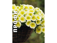 106 ������� Easy Wave Yellow