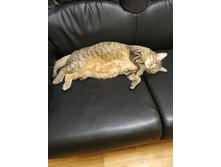 �������� ����� ����� �������� ...