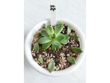 IMG 20220328 121911.jpg