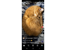 �� ��� ������ ������!