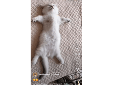 ... � ������� ���ף�