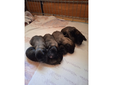 273607476 670002737527174 8953054672410472210 n.jpg