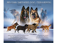 273785650 533529131253887 7198814149107862622 n.jpg