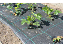 ��������� ������������ ������������� � ��-���������.