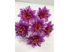 35.00 ���./��. 2910 ����� ���������, 6